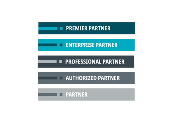 stibo systems partnership types