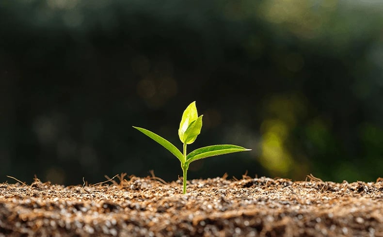 Stibo Systems CSR and ESG Commitment