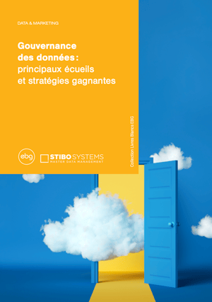 ebg-stibo-systems-white-paper