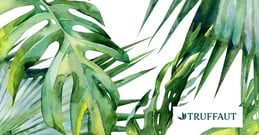 thumbnail_VIDEO_Truffaut