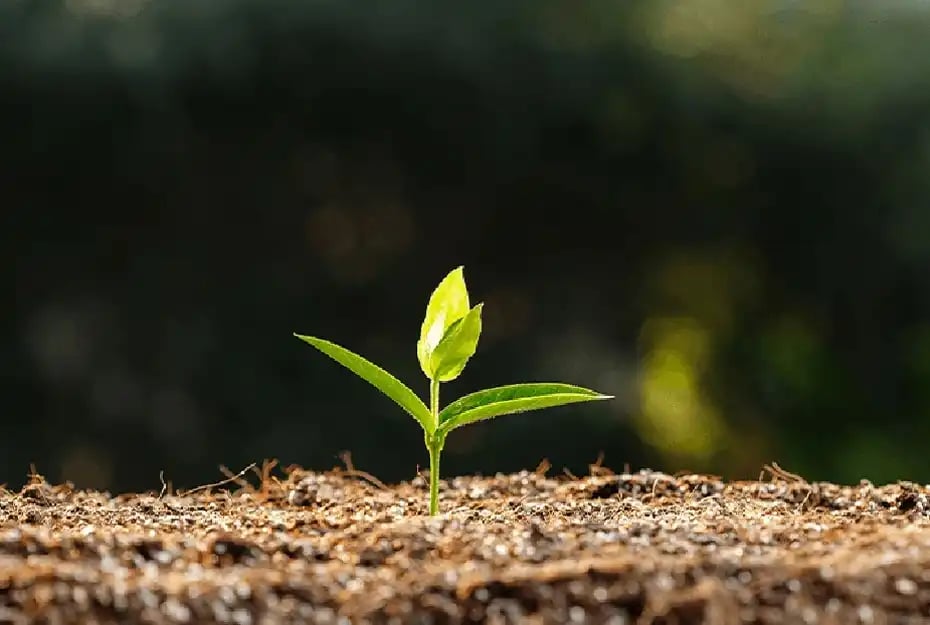 ESG Data Management