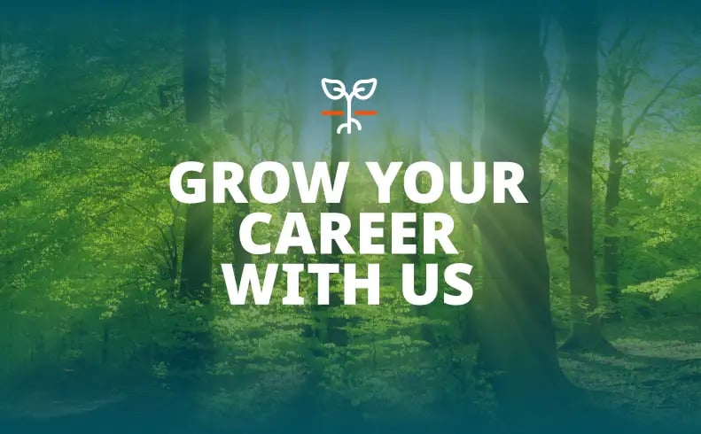 grow your career with Stibo Systems' Graduate Program