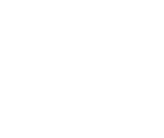 logo_sgmw_white