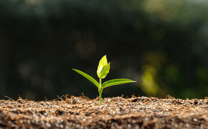stibo-systems-csr-esg-commitment