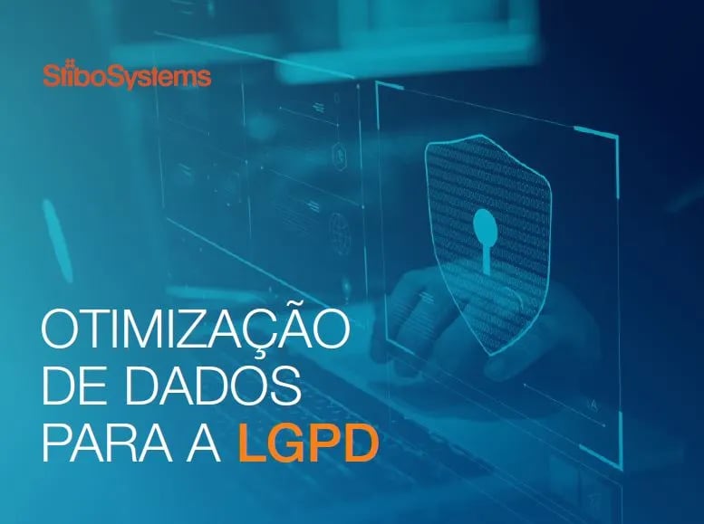 optimze-data-for-lgpd-1