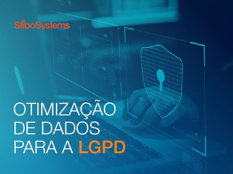 OTIMIZE SEUS DADOS EXISTENTES PARA A LGPD