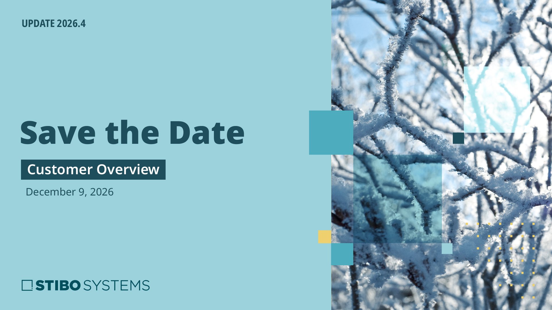 save-the-date-customer