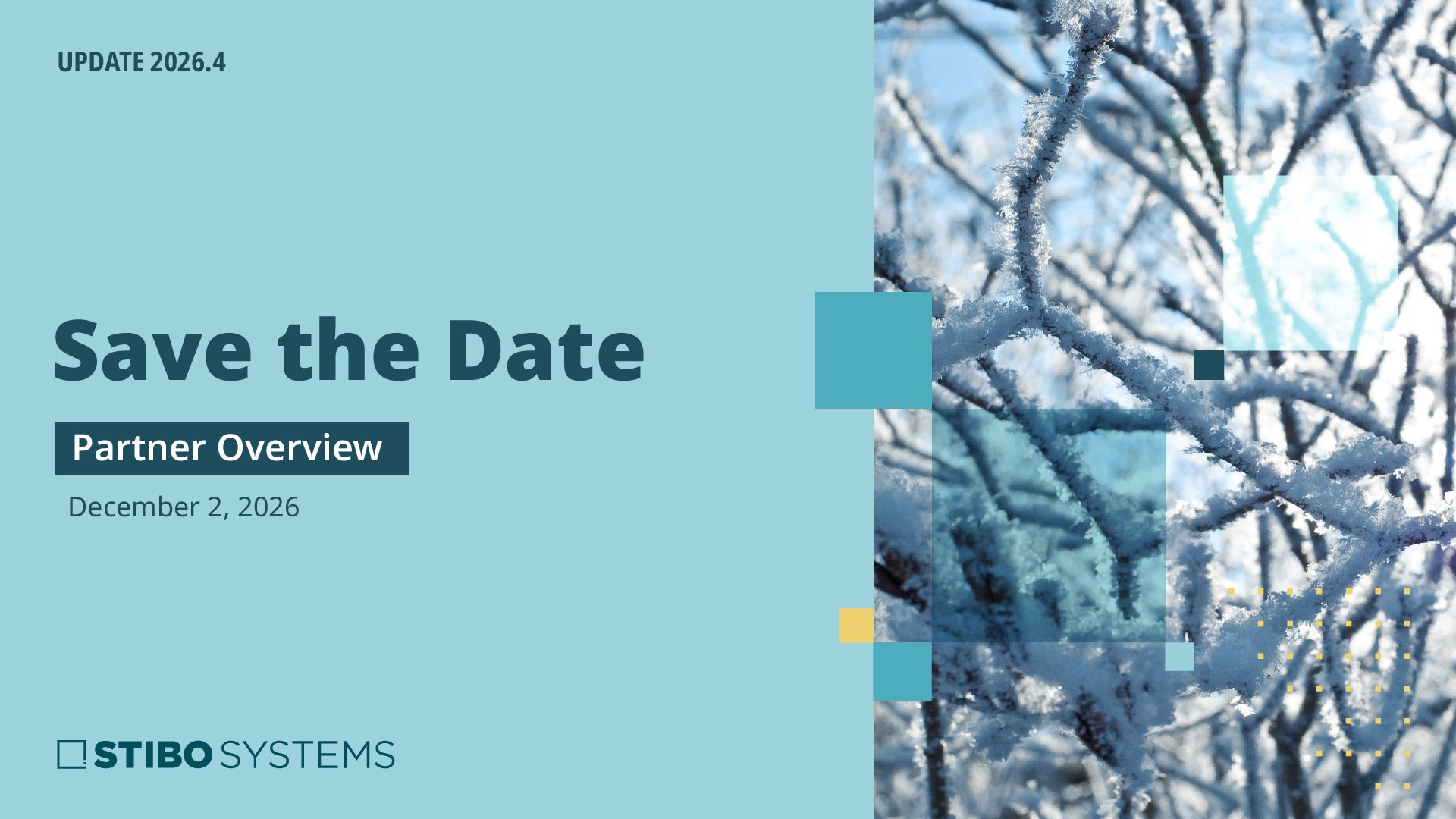 save-the-date-partner