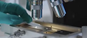 zentiva-featured-img