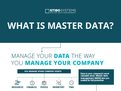 Infographic - what is master data
