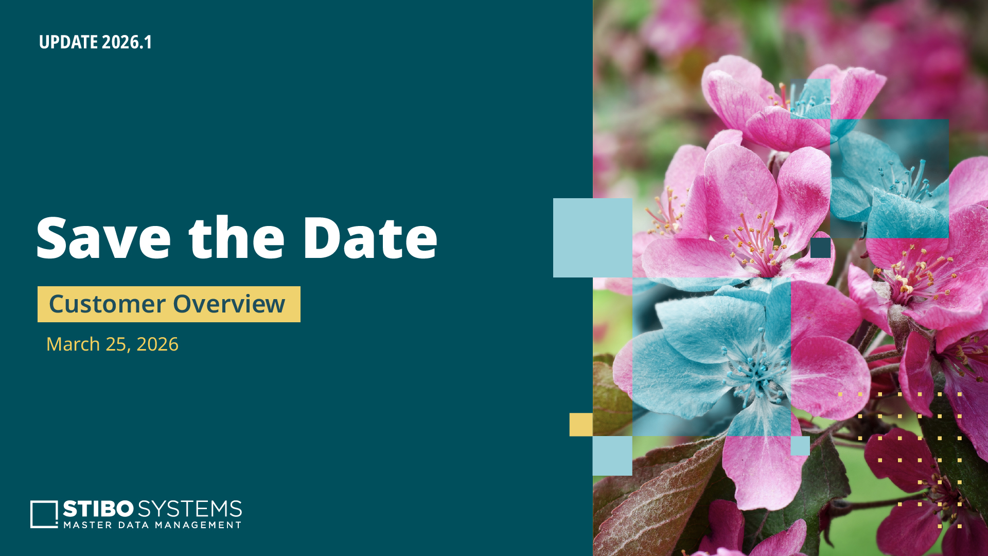 STD_Update_2025-1_Customer