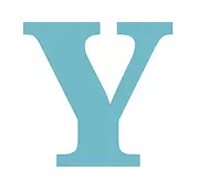 master data management definition - Y