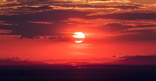 Four Types of IT Systems that Should be Sunsetted – and What to Consider