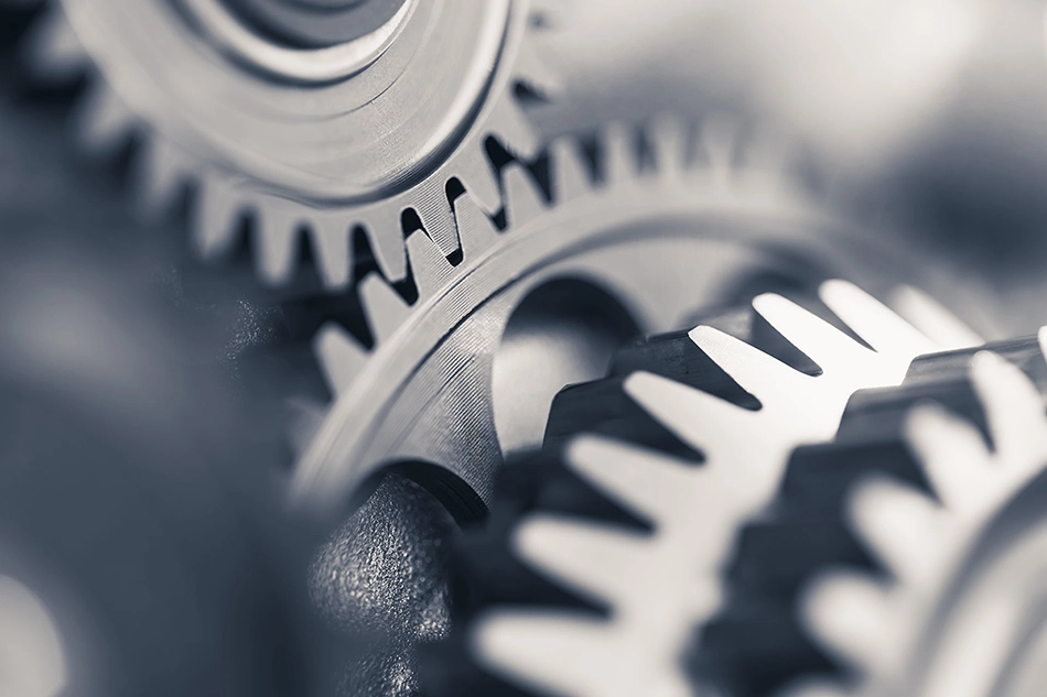 develop-a-master-data-management-framework