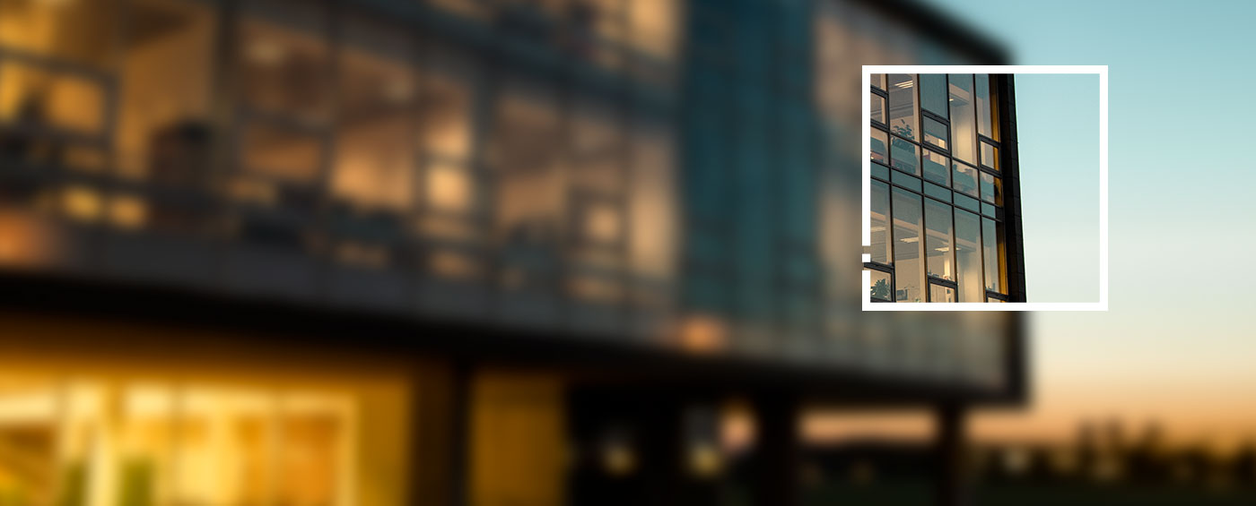 Informazioni sulla società