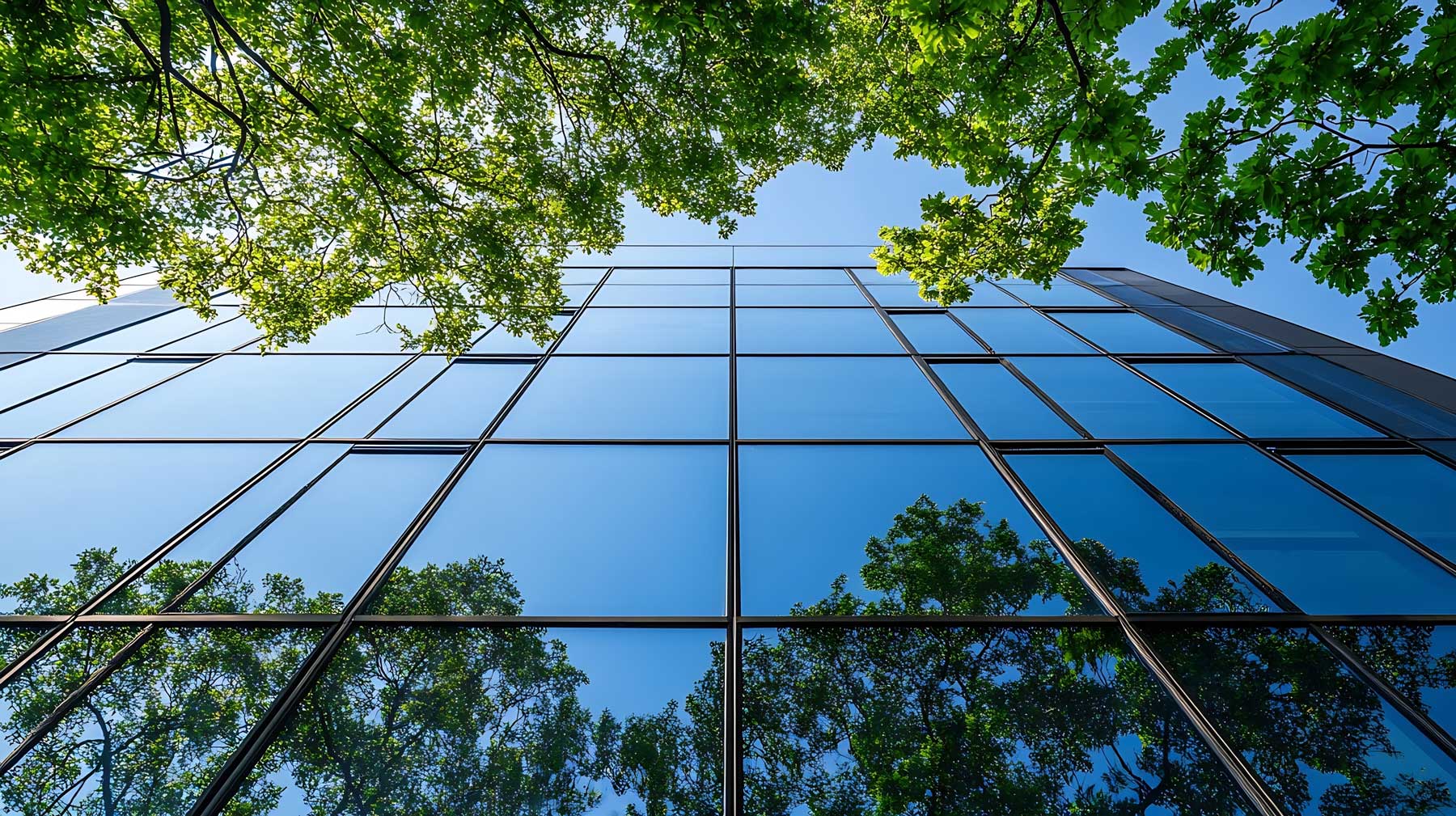 ESG y sostenibilidad