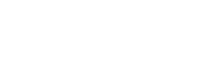 logo_advanced auto parts_white