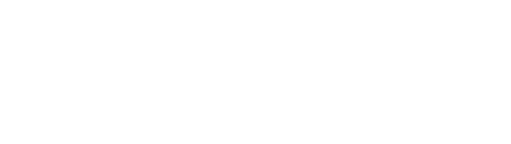 logo_advanced auto parts_white