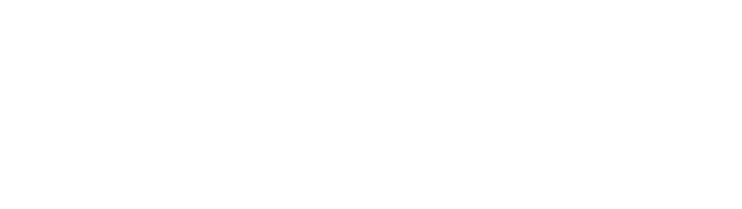 logo_sgmw_white