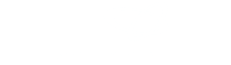 Sonepar 成功案例