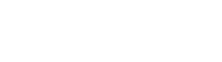 Historia de Éxito de Caroline's Treasures