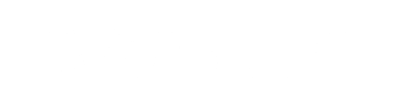 Woseley - Chief Data Officers