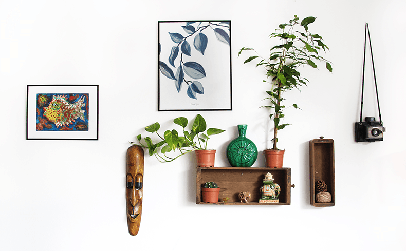 캐롤라인-보물-pds