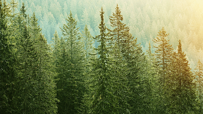 sustainability data management | Stibo Systems