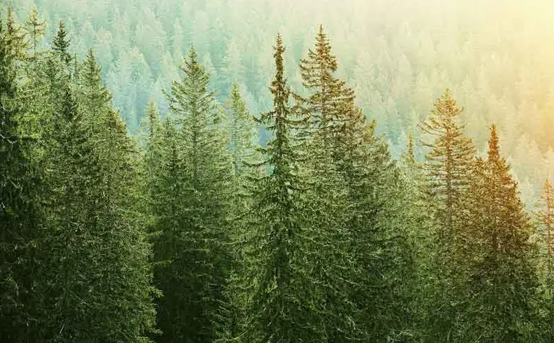 sustainability data management
