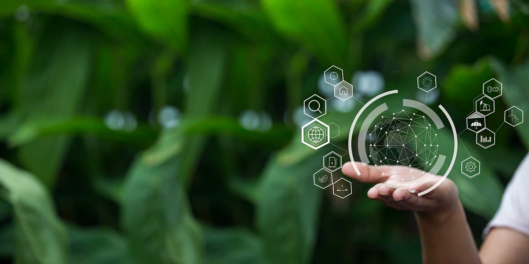 shutterstock_2005882235-1